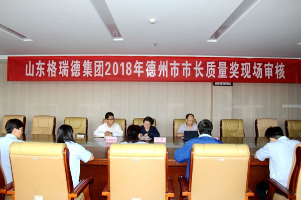 德州市市長質(zhì)量獎(jiǎng)審核專家蒞臨格瑞德現(xiàn)場審查